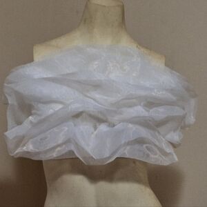 NWT ZARA Bloggers Fav Organza Top